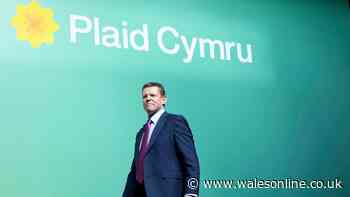 Plaid Cymru strikes deal with Labour to pass £433m supplementary budget