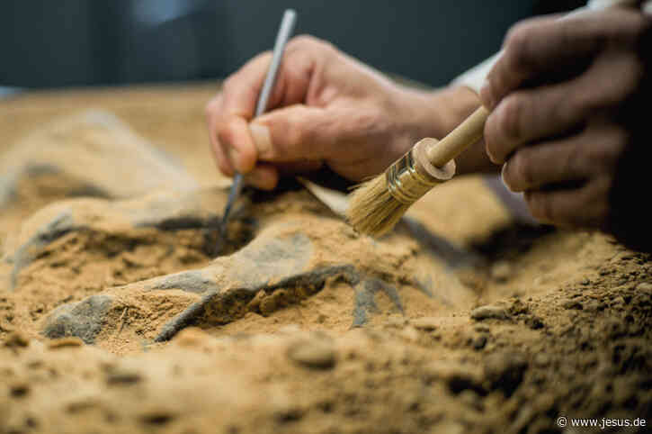 Werkstatt, Stall, Textilbetrieb: Archäologen entschlüsseln Alltag im alten Israel