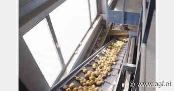 Friet bakken in de fabriek van Aviko