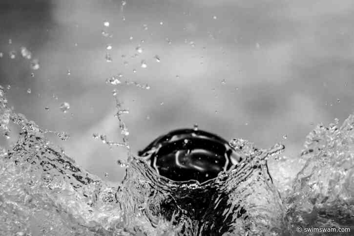 Commit Swimming Makes Meet Management Faster and Easier to Navigate