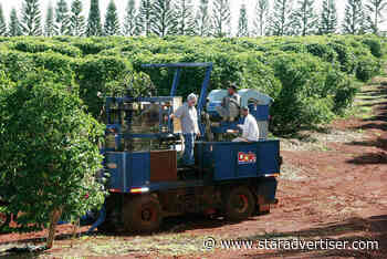 Dole Food to cease coffee farm operations on Oahu