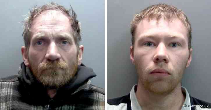 Second man jailed for felling Sycamore Gap tree has been released early from prison