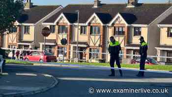Four dead and two children critical after suspected arson attack on Waterford home