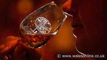 Welsh Government spent thousands on festivals, whisky tasting and campervans