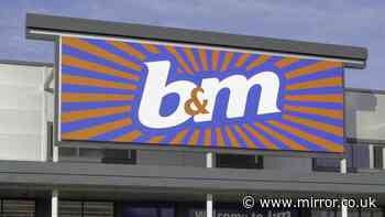 Front door 'transformed in seconds' with B&M's £10 'bold and bright' decoration