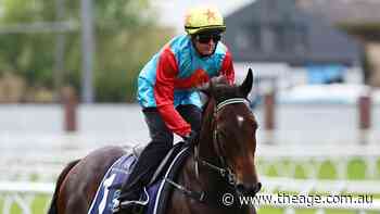 Hayes unfazed about wide draw for Ka Ying Rising but keeping an eye on the skies