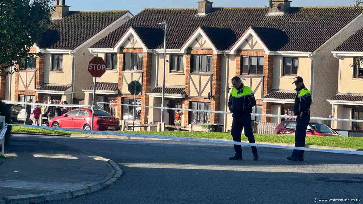Four dead and two critical after suspected arson attack on Irish home