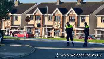 Four dead and two critical after suspected arson attack on Irish home