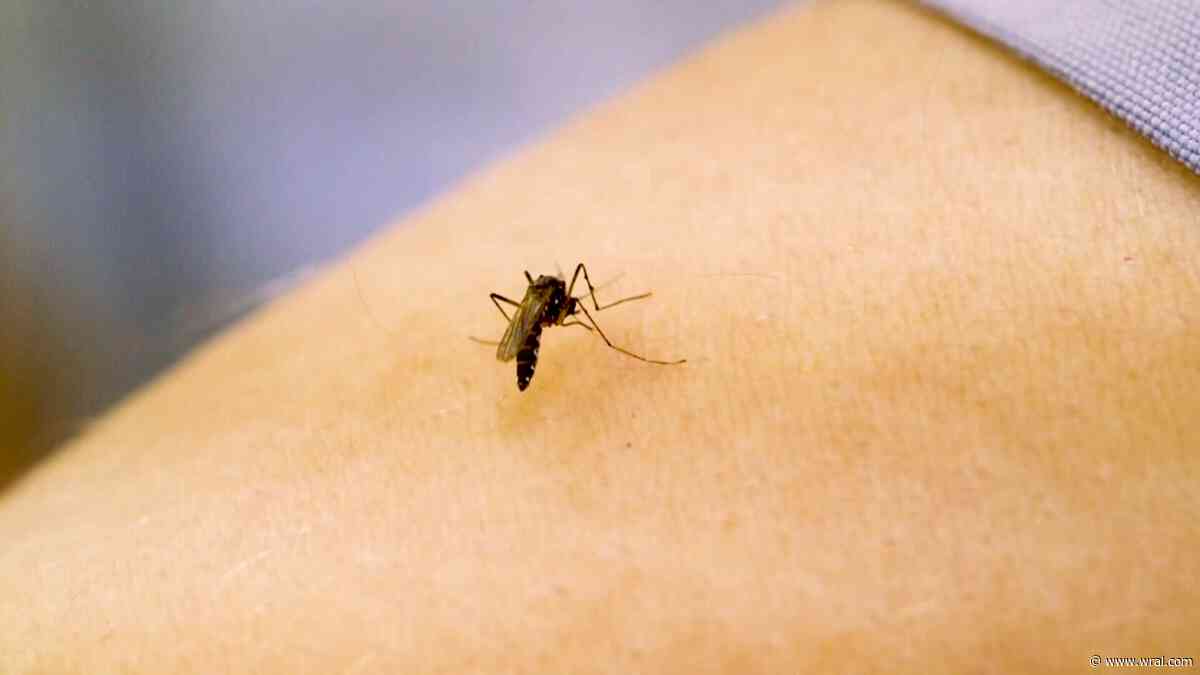 Two North Carolinians dead from West Nile Virus