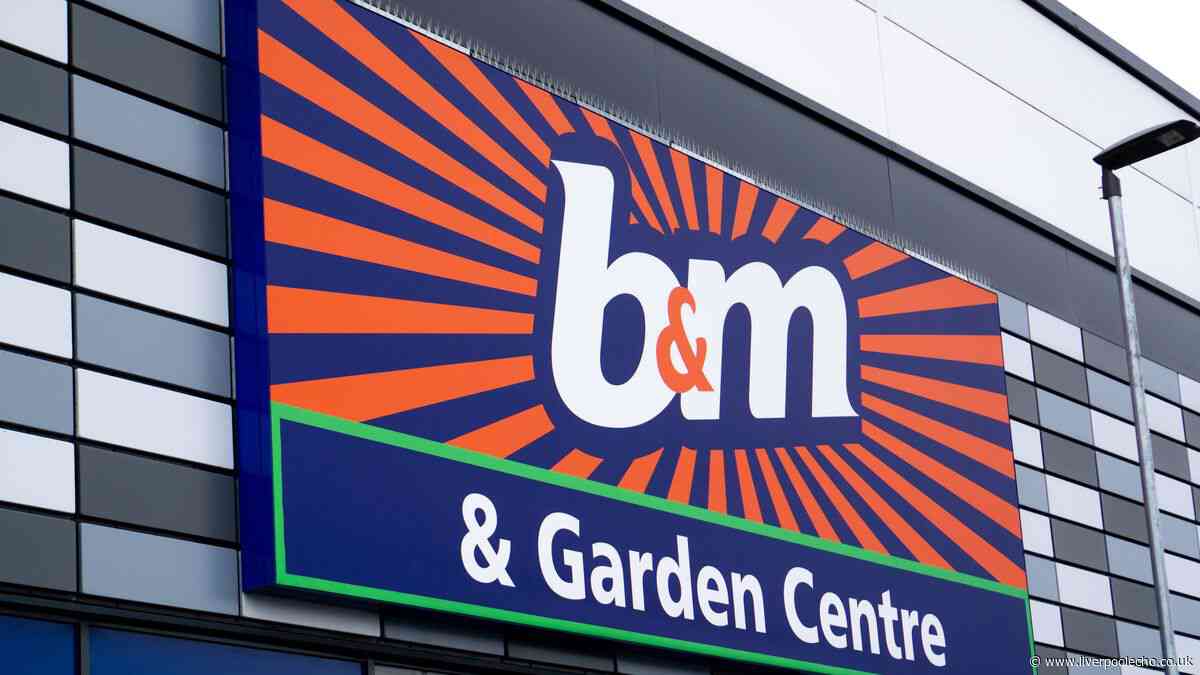 Feel warm at home without central heating with 24p-to-use 'stylish' B&M gadget