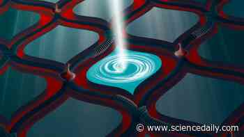 Scientists recreate a bizarre quantum effect that stops a particle cold