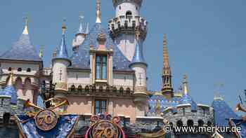 Polizeieinsatz am Disneyland: Verdächtiger Gegenstand sorgt für Sperrungen und Chaos bei Besuchern
