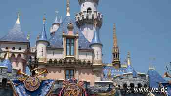 Polizeieinsatz am Disneyland: Verdächtiger Gegenstand sorgt für Sperrungen und Chaos bei Besuchern
