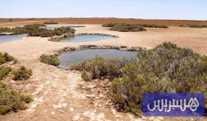 "سوبر إل نينيو" تلوح في الأفق .. والشتاء المغر
