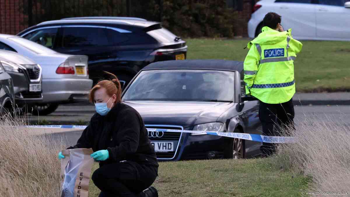 Two people arrested over alleged attack near Wallsend primary school