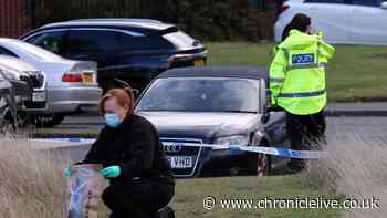 Two people arrested over alleged attack near Wallsend primary school