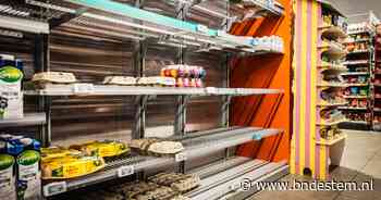 Geen aanwijzingen dat gegevens klanten Albert Heijn zijn gestolen, moederbedrijf start systemen weer op