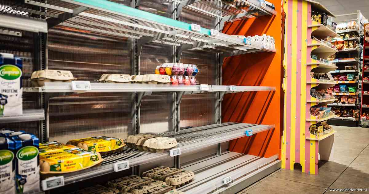 Geen aanwijzingen dat gegevens klanten Albert Heijn zijn gestolen, moederbedrijf start systemen weer op