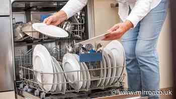 Anyone who pre-rinses dishes before loading them in dishwasher told to stop