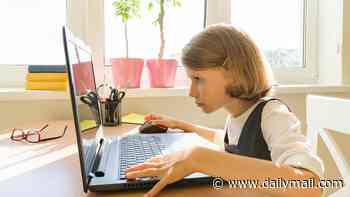 Screen time in schools creating 'crisis' in children's health by damaging speech and eyesight, doctors warn