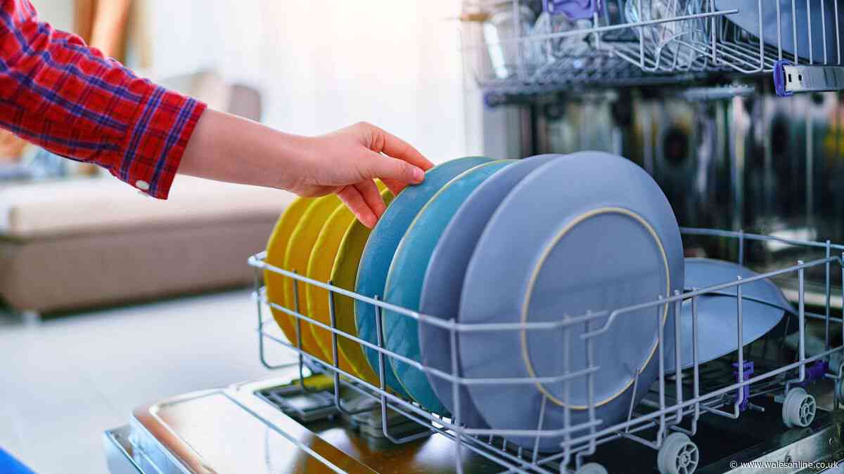 UK households told you should not pre-rinse dishes before loading them in dishwasher