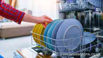 UK households told you should not pre-rinse dishes before loading them in dishwasher