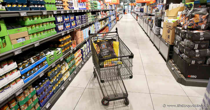 Istat: negli ultimi 25 anni prezzi saliti del 63%. Per casa e utenze inflazione del 120%, per gli alimentari del 90%