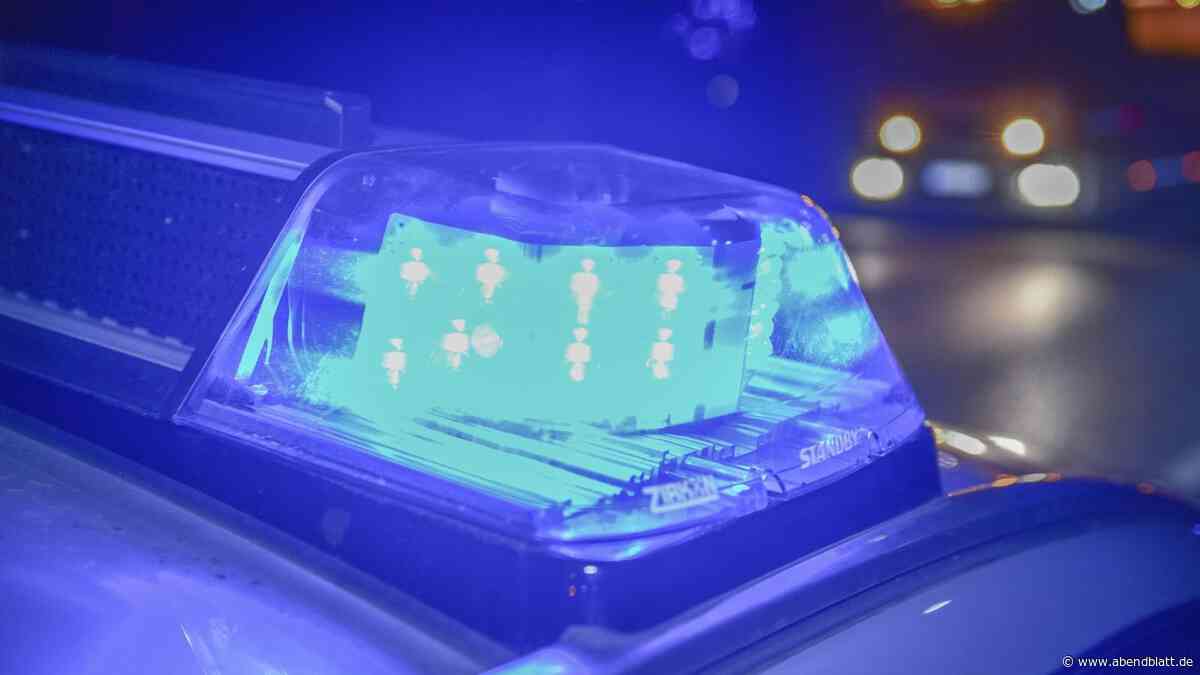 Drohne entdeckt Schuleinbrecher in Eidelstedt: Polizei nimmt junge Männer fest