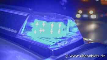 Drohne entdeckt Schuleinbrecher in Eidelstedt: Polizei nimmt junge Männer fest