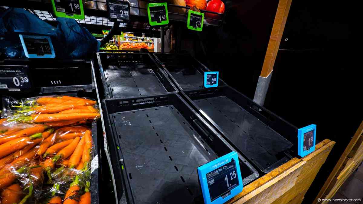 Ahold Delhaize: geen aanwijzingen voor gestolen persoonsgegevens, systemen worden weer opgestart