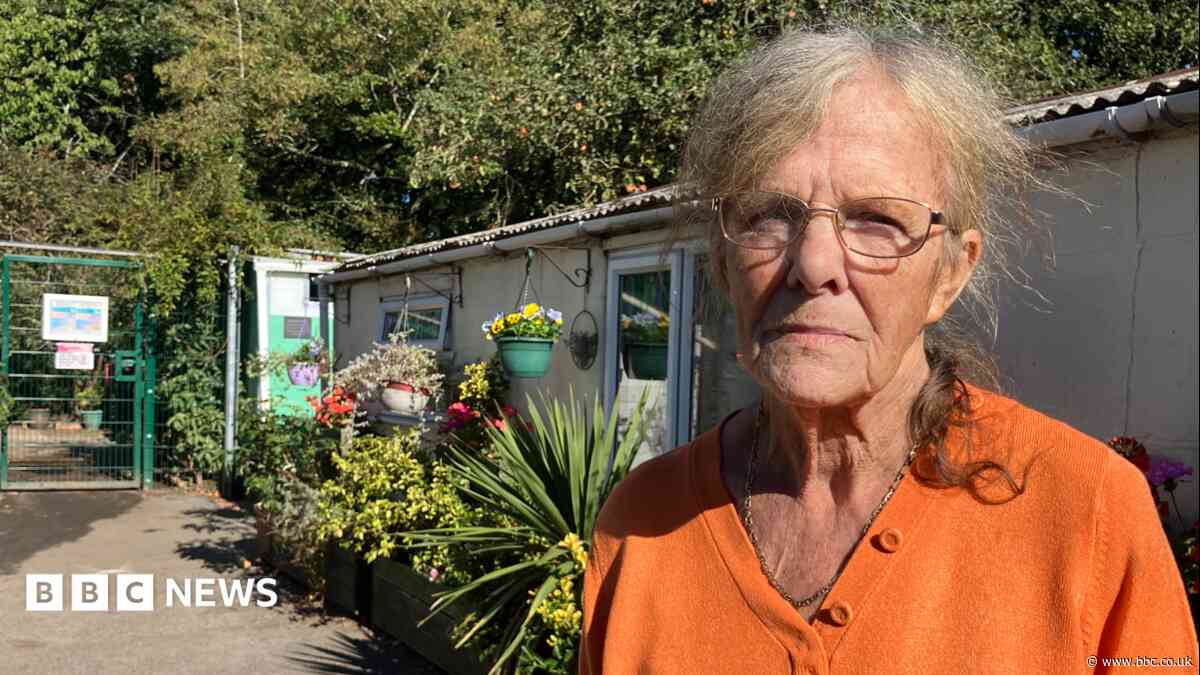 Dog centre owner 'sick' over parvovirus concerns