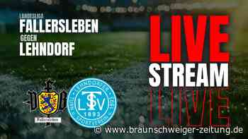 Landesliga live: Kellerduell zwischen dem VfB Fallersleben und dem Lehndorfer TSV