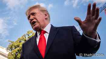 Trump mocks heckler punched at Ohio rally