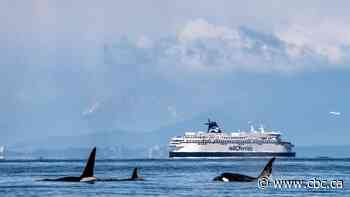 How B.C.'s major parties say they'll improve ferry service