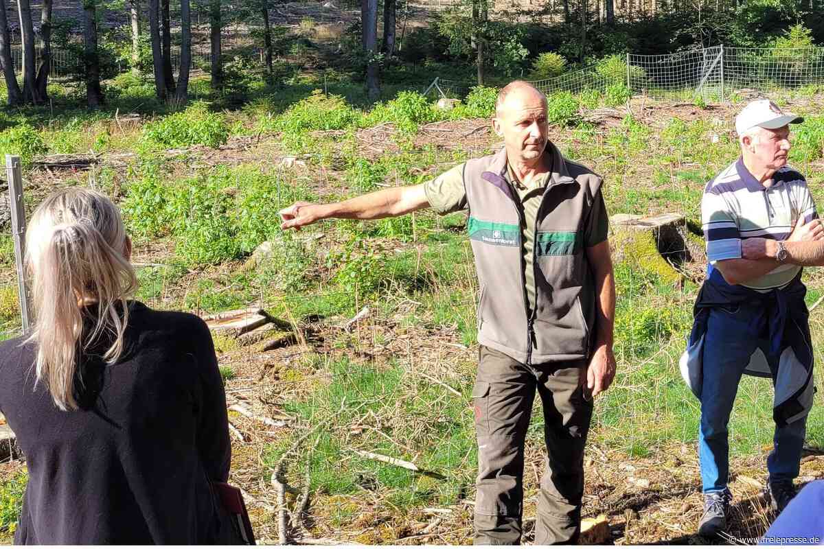 Förster nimmt Interessierte mit auf Exkursion durch den Dänkritzer Wald