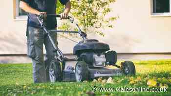 Deadline for anyone with a garden to mow lawn before winter
