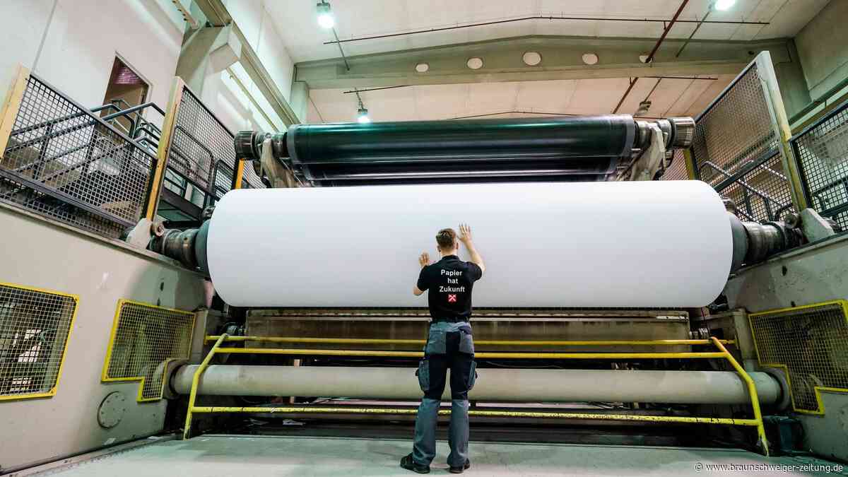Papier von hier! Eine niedersächsische Firma setzt alles auf die Öko-Karte