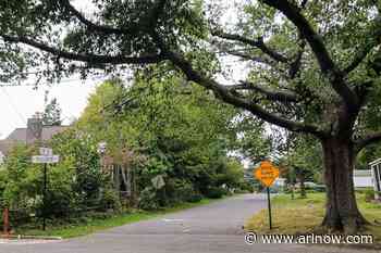 Sidewalk, intersection improvements in Douglas Park and Clarendon set for approval