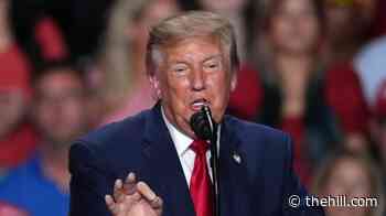Just 1 in 4 approve of Trump handling of economy: Survey