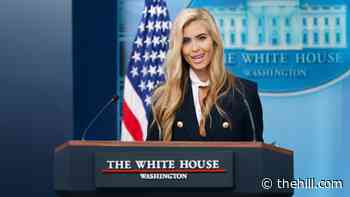 Live updates: Zacharia says Trump asked Guilfoyle to resign from ambassador post