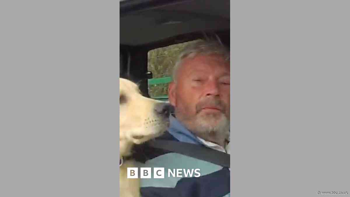 M5 driver four times over limit with dog in car
