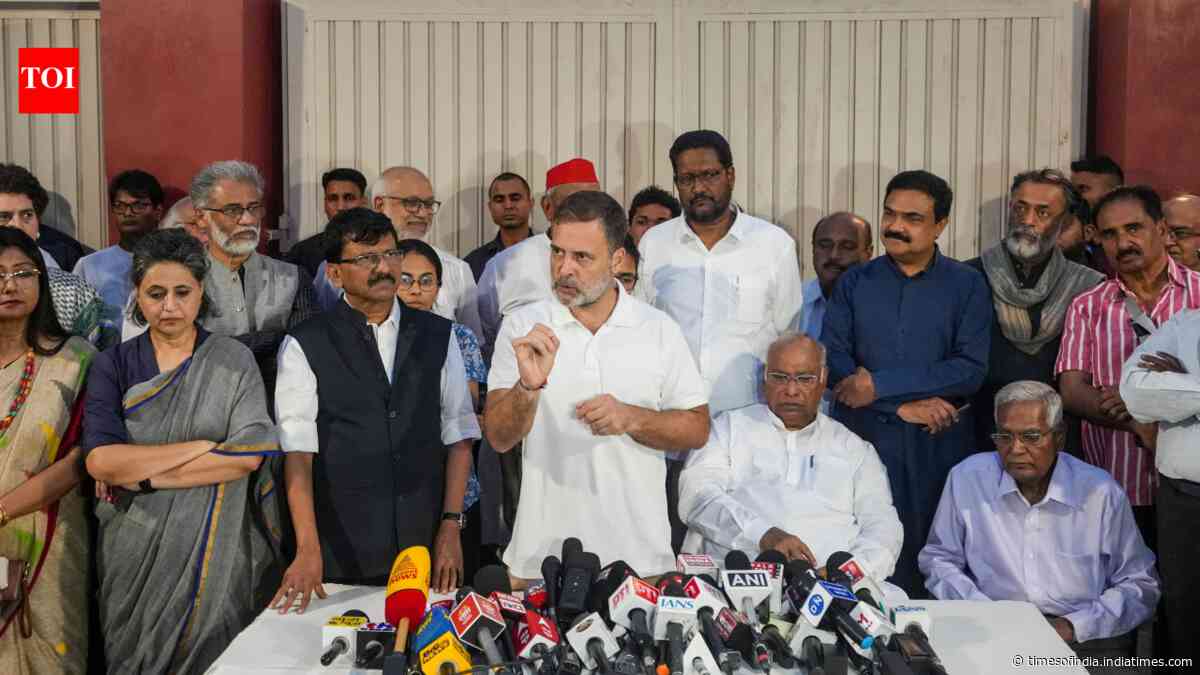 'Lady hiding in Dehradun': Who was Rahul Gandhi referring to at INDIA bloc presser?