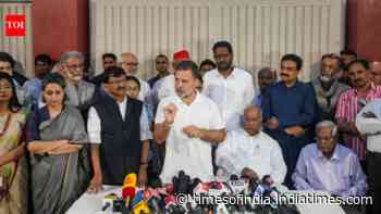 'Lady hiding in Dehradun': Who was Rahul Gandhi referring to at INDIA bloc presser?