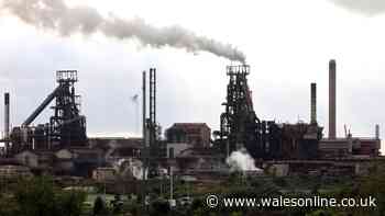 Tata found guilty of toxic gas safety failures at Port Talbot steelworks