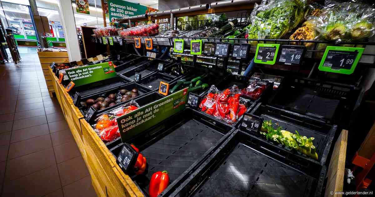 Lege schappen, sauna in de koeling: onze essentiële voorzieningen zijn kwetsbaar bij cyberincidenten