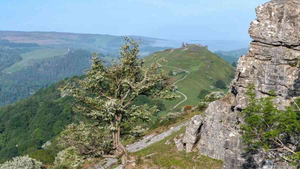 Plans to create the first national park in Wales for decades dumped