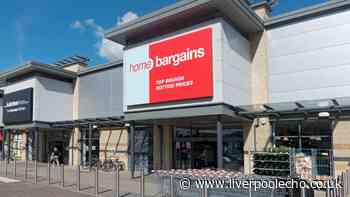Home Bargains £40 large Christmas ornament creates 'cosy atmosphere'