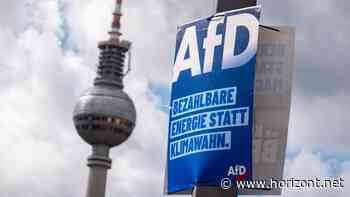 Wahlwerbung: Gericht schmettert AfD-Klage gegen Werbespot-Verbot ab