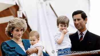 The really 'bizarre outfits' Princess Diana chose for sons Princes William and Harry - see photos