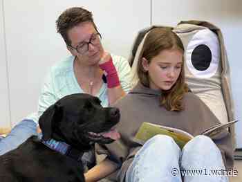 Wie werde ich ein Lesehund? Workshop bei Johannitern